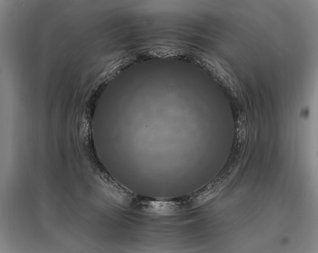 X0000095520371200712141451