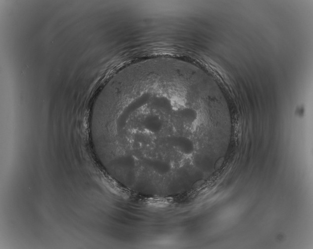 X0000095520373200712141451