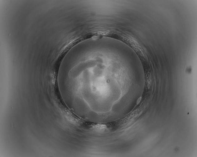 X0000095520374200712141451