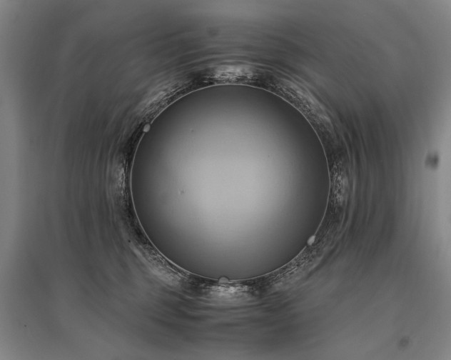 X0000095520375200712141451