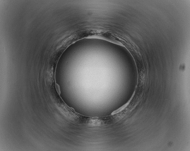 X0000095520376200712141451