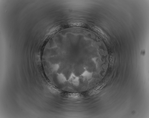 X0000095520377200712141451