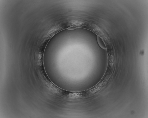 X0000095520378200712141451