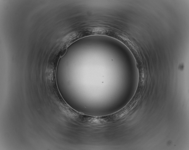 X0000095520379200712141451