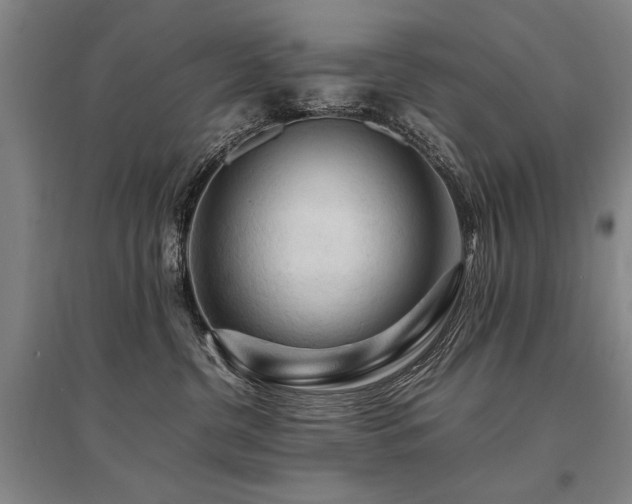 X0000095520380200712141451