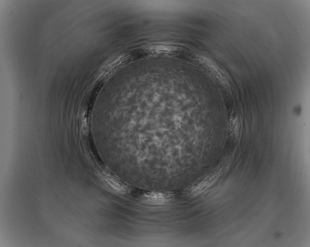 X0000095520381200712141451