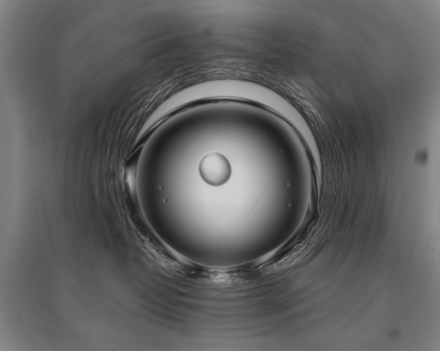 X0000095520382200712141452