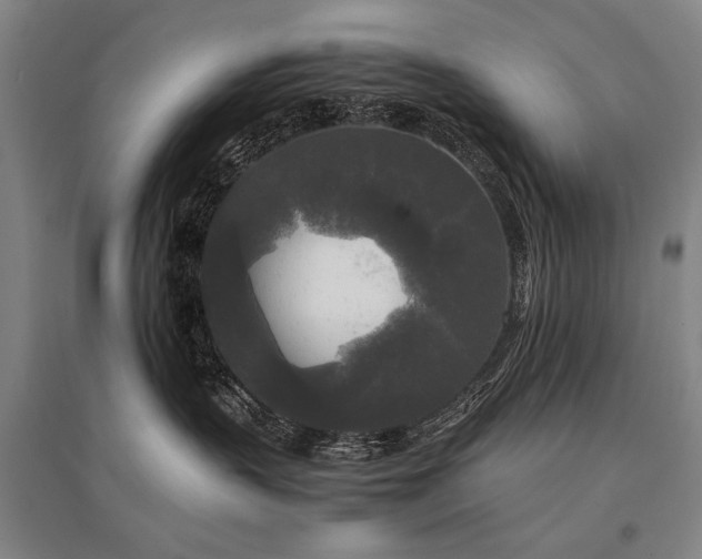 X0000095520383200712141452