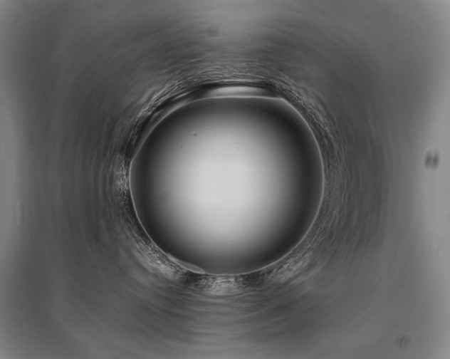 X0000095520384200712141452