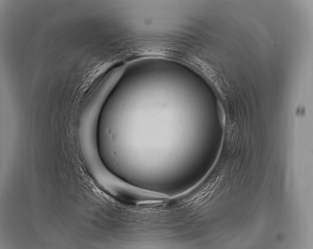 X0000095520385200712141451