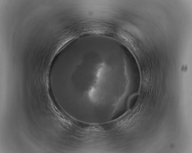 X0000095520386200712141451