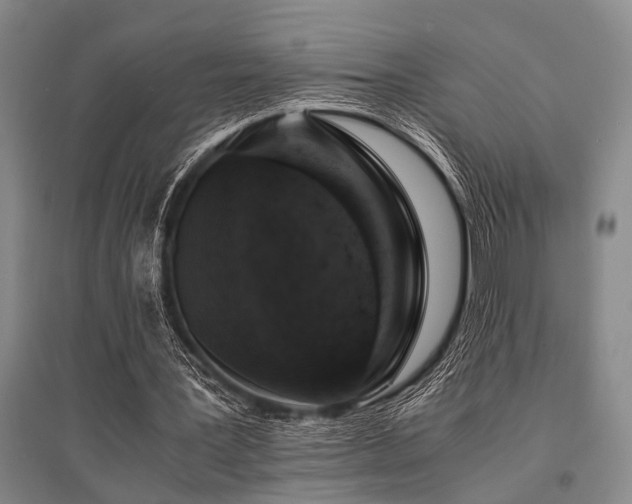 X0000095520387200712141451