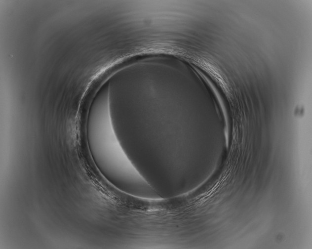 X0000095520388200712141451