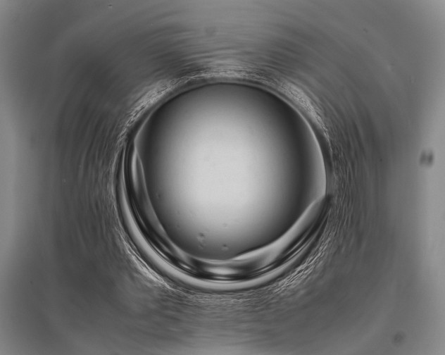 X0000095520389200712141451