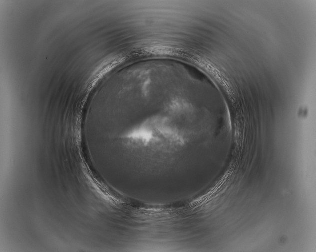 X0000095520390200712141451