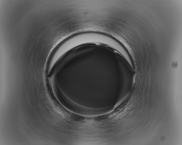 X0000095520391200712141451