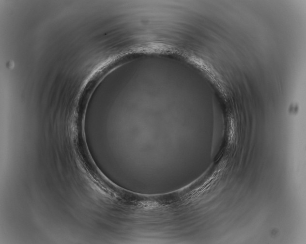 X0000095520392200712141451