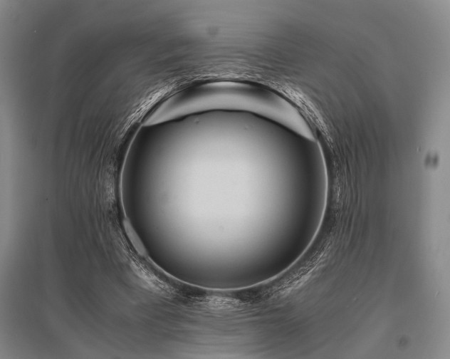 X0000095520393200712141451