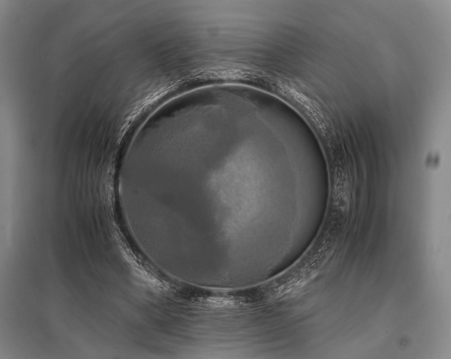 X0000095520394200712141451