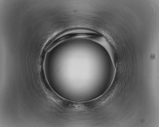 X0000095520395200712141451