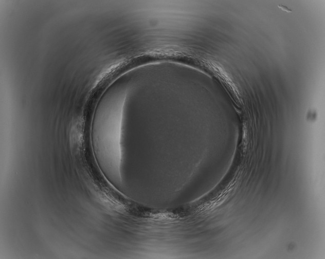 X0000095520396200712141451