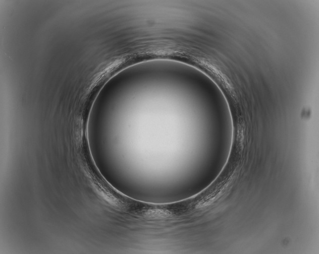 X0000095520397200712141451