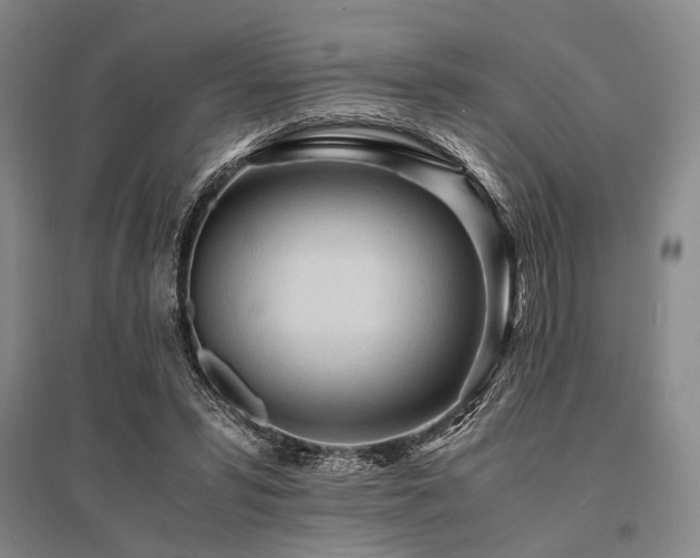 X0000095520399200712141451