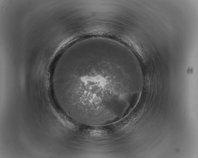 X0000095520400200712141451