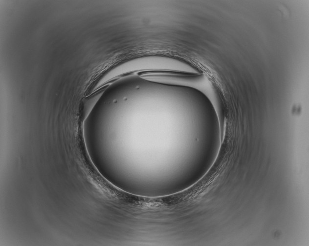 X0000095520401200712141451