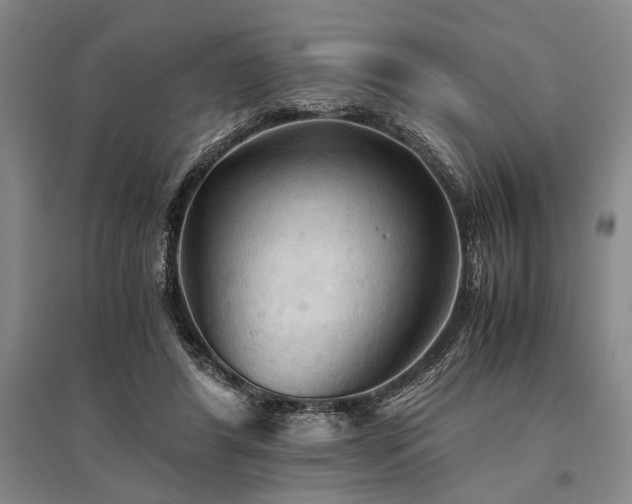 X0000095520404200712141451