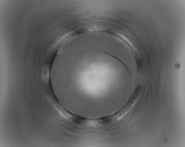 X0000095520405200712141451