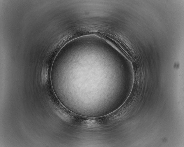 X0000095520406200712141451