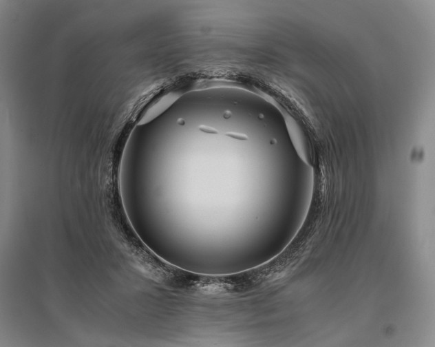 X0000095520407200712141451