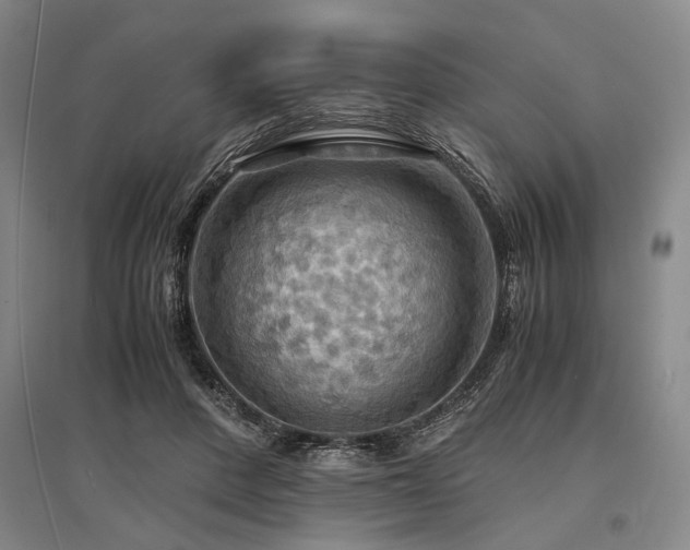 X0000095520408200712141451