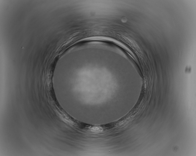 X0000095520409200712141451