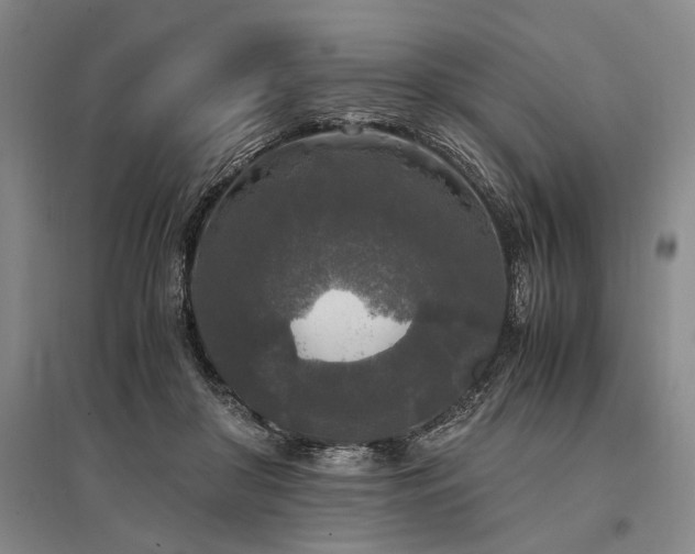 X0000095520410200712141451