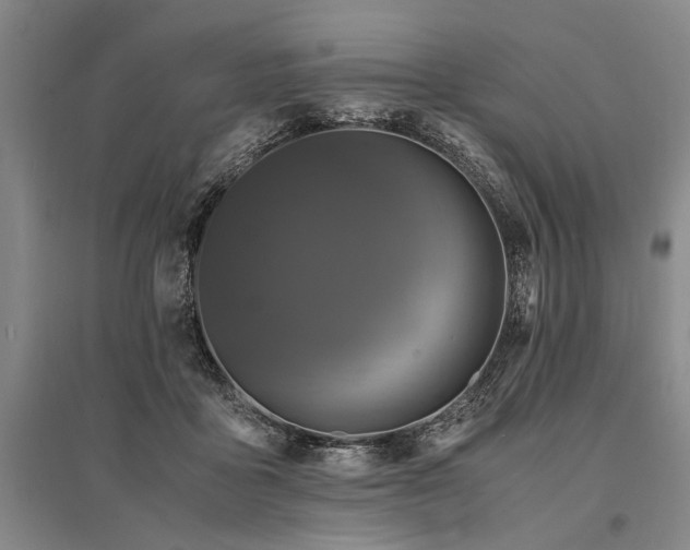 X0000095520411200712141451