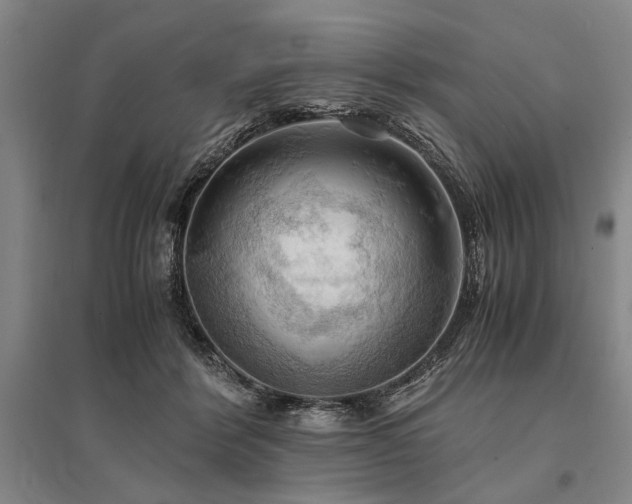 X0000095520412200712141450
