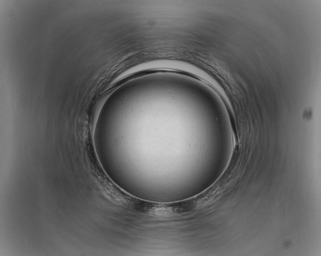 X0000095520413200712141450