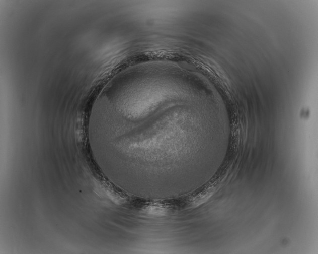X0000095520416200712141450