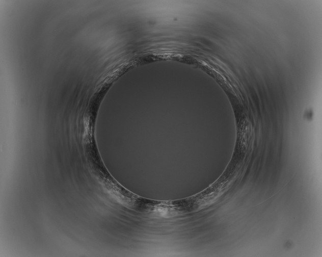 X0000095520420200712141450
