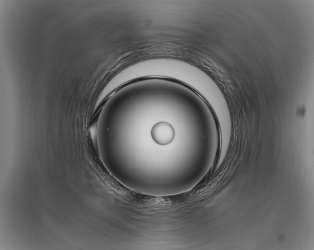 X0000095520421200712141450