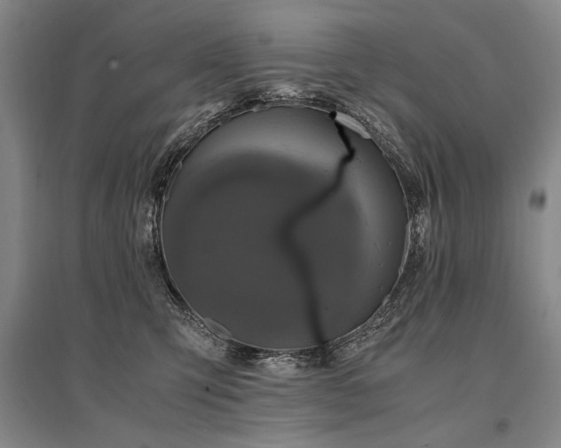 X0000095520423200712141450