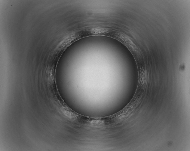 X0000095520426200712141450