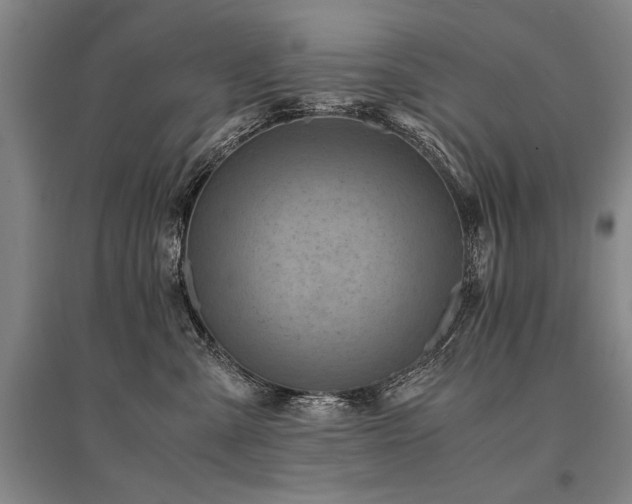 X0000095520427200712141450