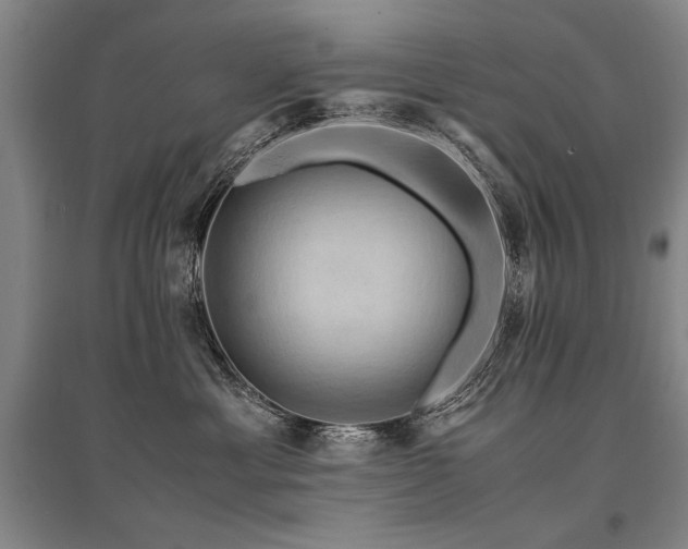 X0000095520429200712141450