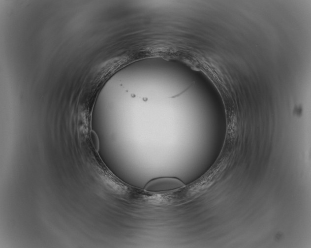 X0000095520430200712141450