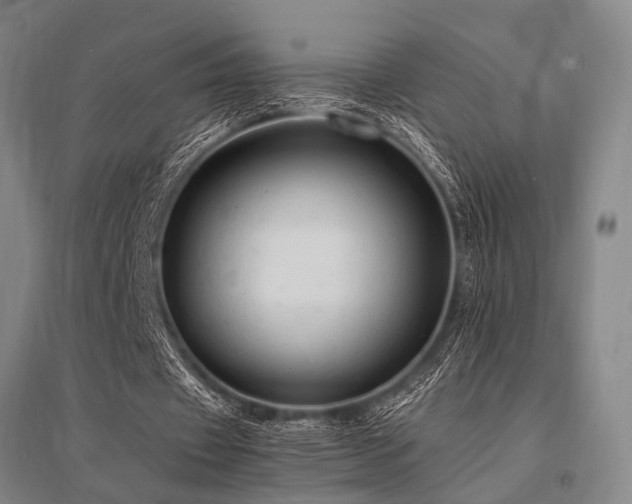 X0000095520433200712141449