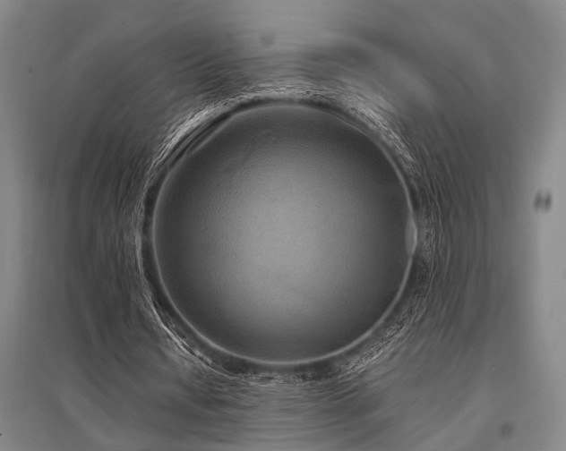 X0000095520434200712141449
