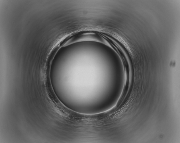 X0000095520436200712141449